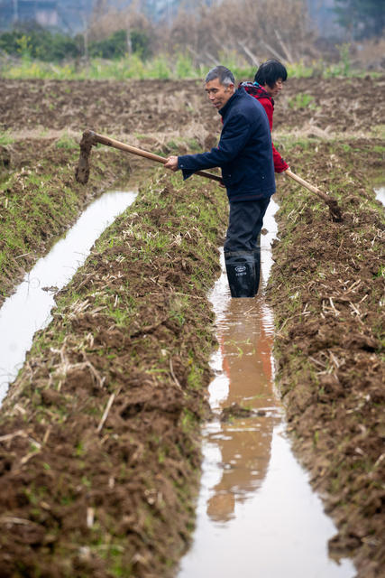 春耕 农业 农村