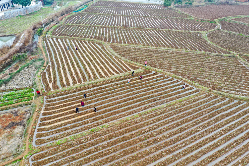 春耕 农业 农村