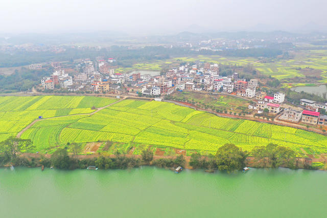 湿地 春色