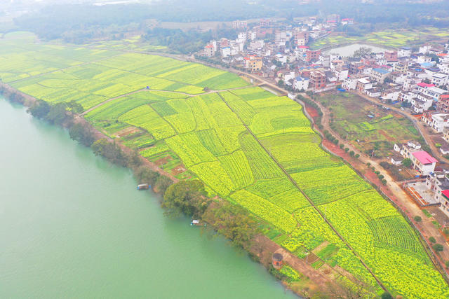 湿地 春色