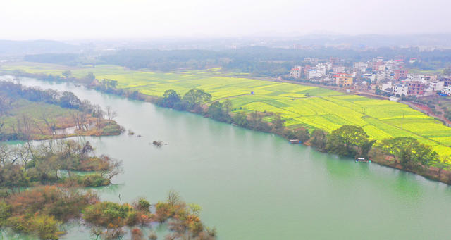 湿地 春色