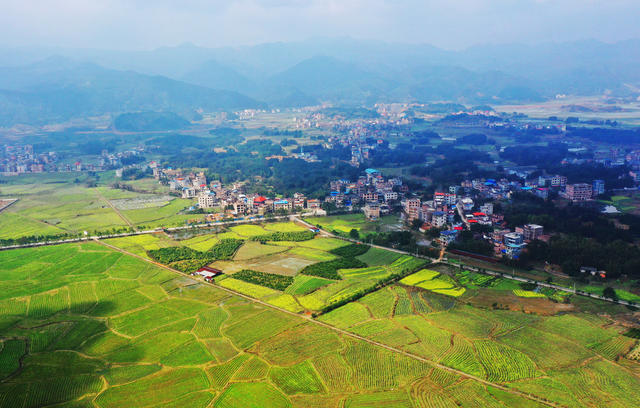 湖南蓝山：春暖花开  乡村如画