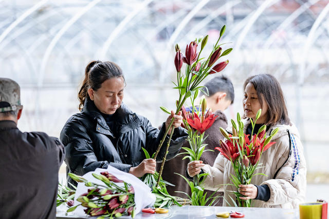吉首 百合花 乡村振兴