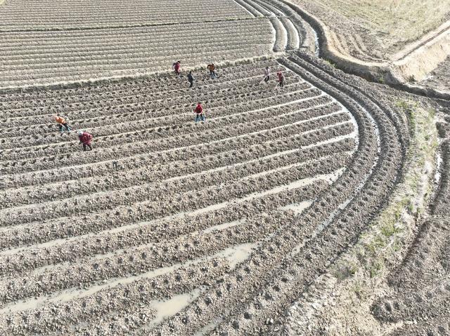 农事
春暖
农业
道县