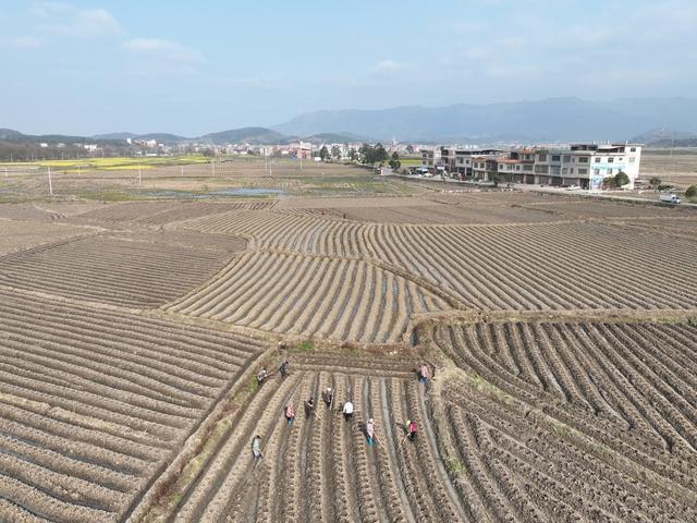 农事
春暖
农业
道县