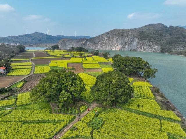 青山绿水
生态
环境
江华
油菜花