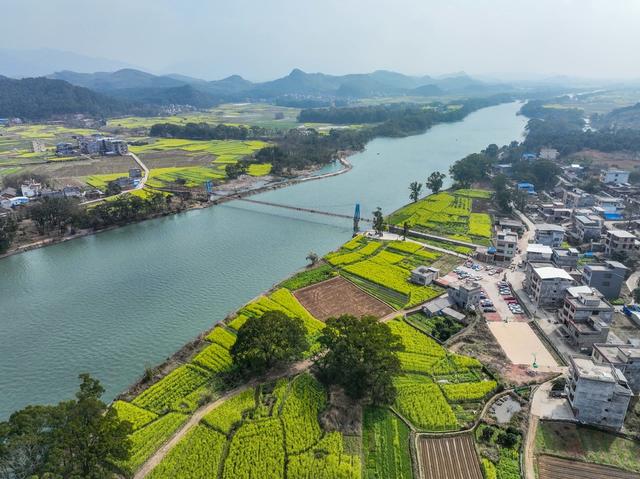 青山绿水
生态
环境
江华
油菜花