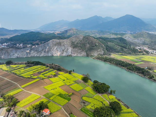 青山绿水
生态
环境
江华
油菜花