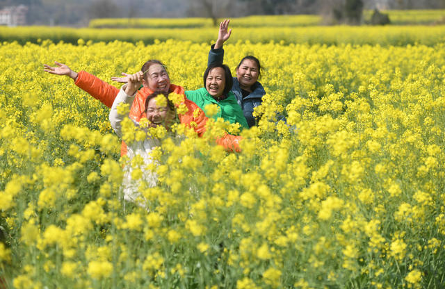 踏青
赏花
油菜花
春日
江华