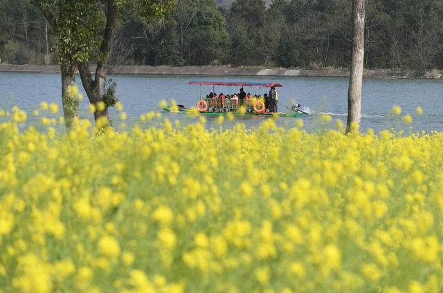 踏青
赏花
油菜花
春日
江华