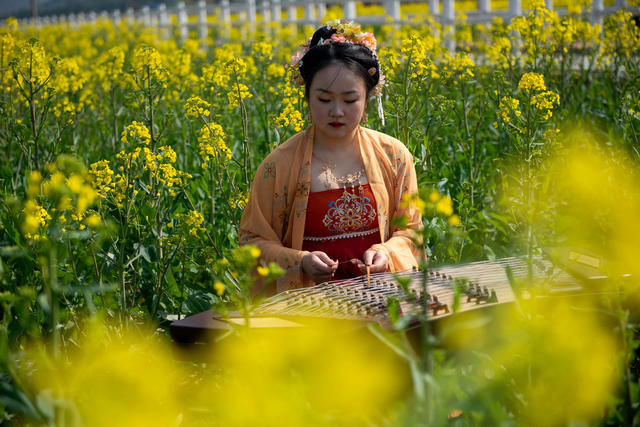 春光好  乐赏花