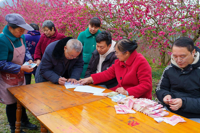 乡村旅游  乡村振兴  分红  增收致富