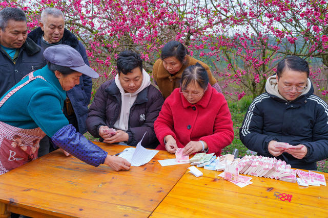 乡村旅游  乡村振兴  分红  增收致富