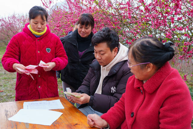 乡村旅游  乡村振兴  分红  增收致富