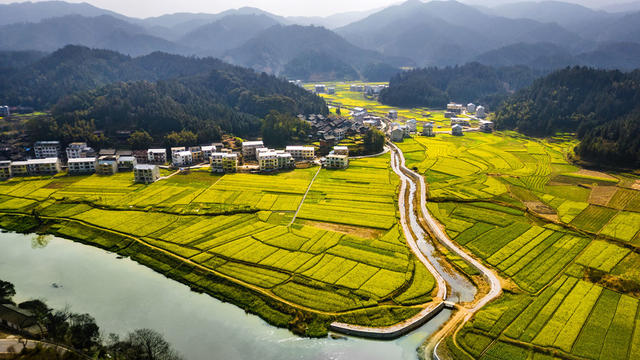 通道 春 油菜 花 山峦 河流 构成 美丽 乡村 画卷