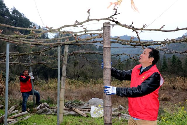 公益助农  助力乡村振兴