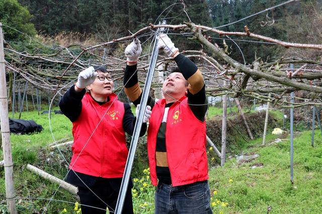 公益助农  助力乡村振兴