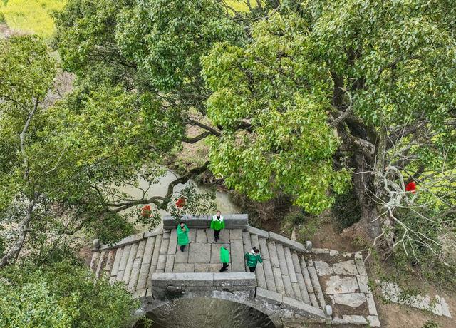 油菜花
春天
春色
潇贺古道
古色
江华
