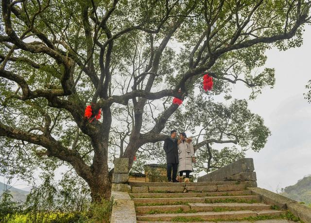 油菜花
春天
春色
潇贺古道
古色
江华
