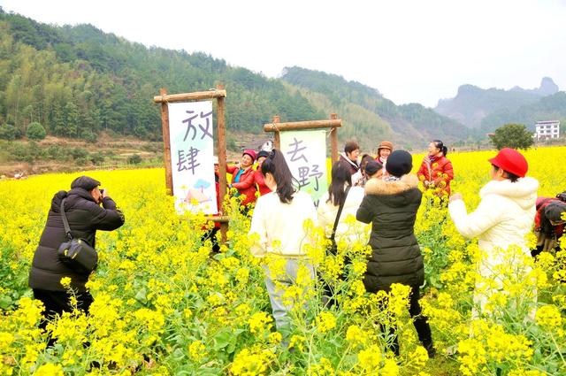 油菜花  游客  新宁 乐享