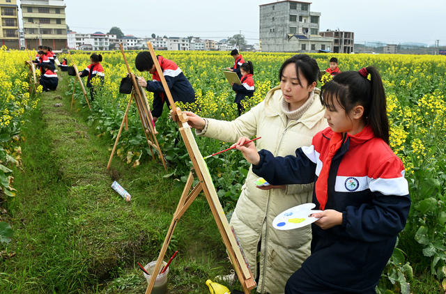 户外写生  绘画 春天 春光 大自然 油菜 学生 学校 教育  文化