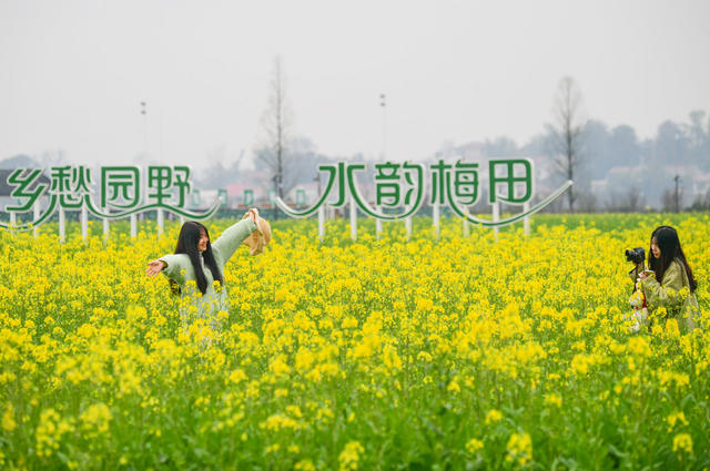 浏阳，赏花