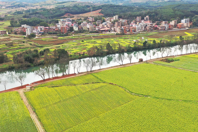 湖南嘉禾：荒地变良田  河道景观美