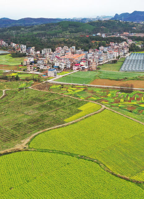 湖南嘉禾：荒地变良田  河道景观美
