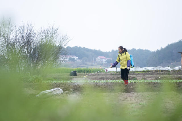 湖南娄底 春耕春播 村民 播种 农时 农业生产