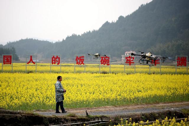 农业、病虫害防治、春管、飞防、农技