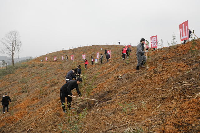 湖南 新田 义务植树 添新绿