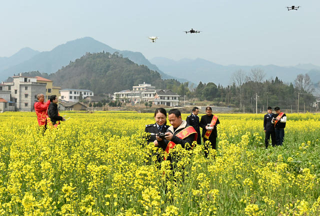 禁毒宣传  禁毒志愿者   绿色无毒  农村  民警 禁种铲毒  无人机  空中巡查 防毒禁毒