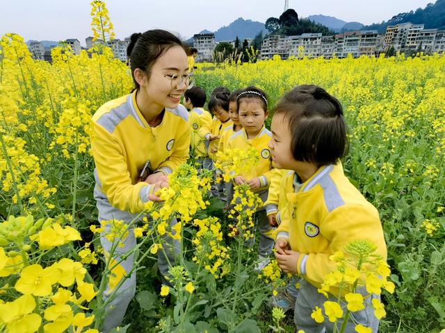 油菜花节 春游美景 油菜花开春意“闹”