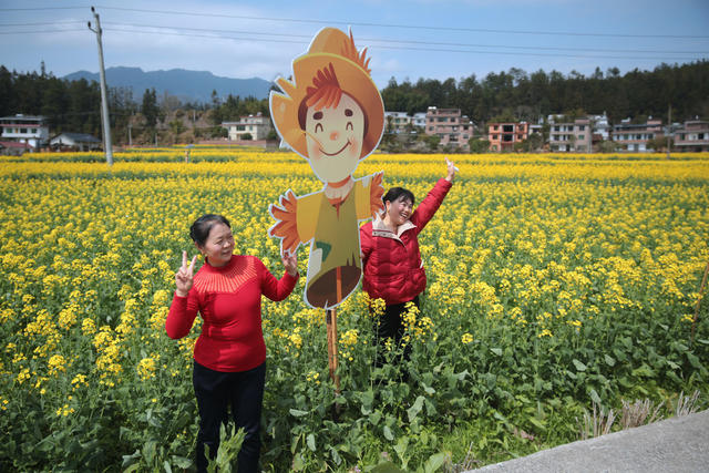 湖南桂东 “春牛” 客 文旅 油菜花 农耕雕塑