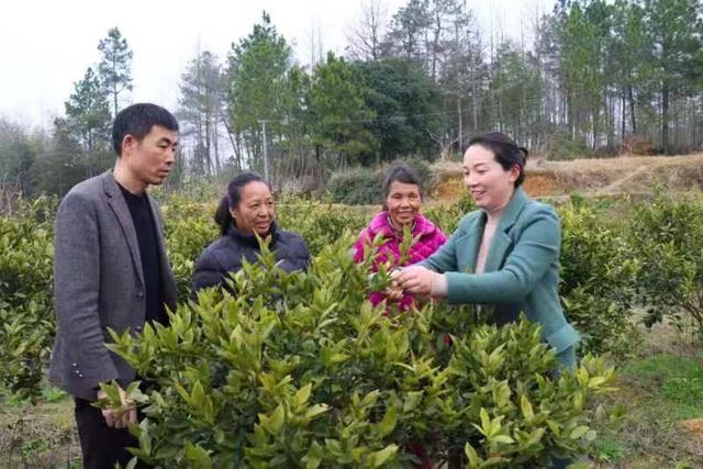 巾帼之花  绽放  别样风采