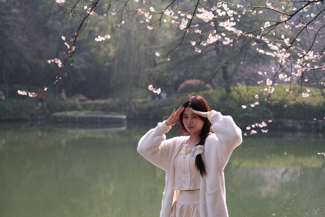 望月公园，樱花盛开，