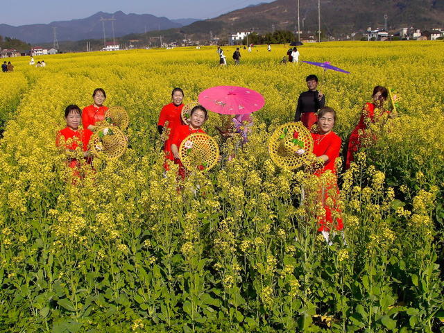 投稿
