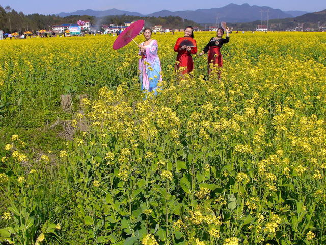投稿