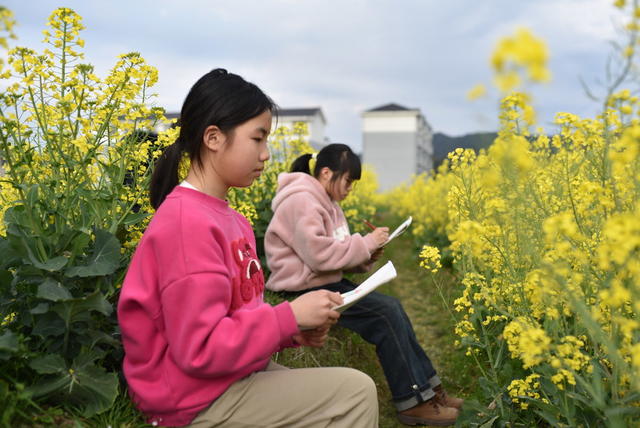 踏青 写生 春光  油菜花 课后服务 美术兴趣小组
