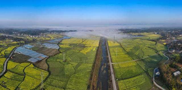 春天，油菜花，美景