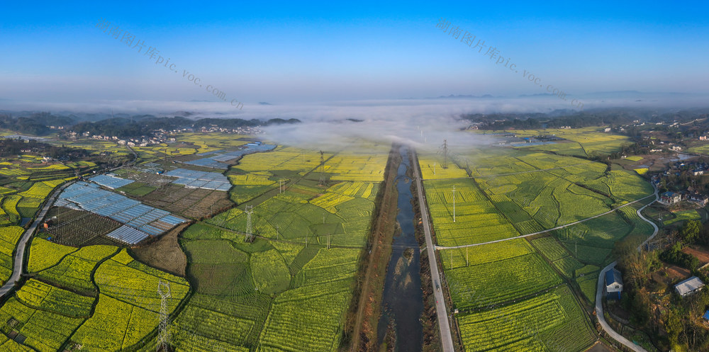 春天，油菜花，美景