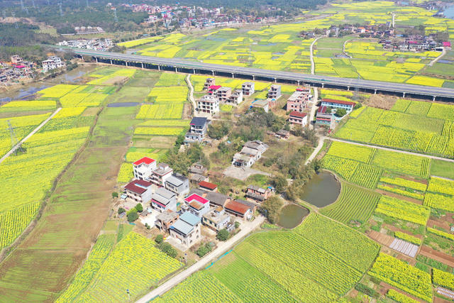 春色 高速路