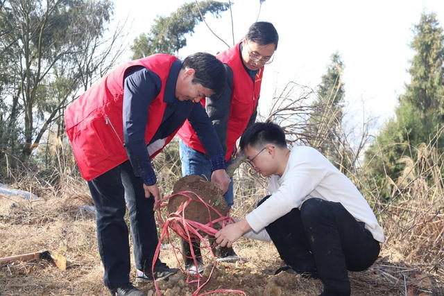 植树 公园