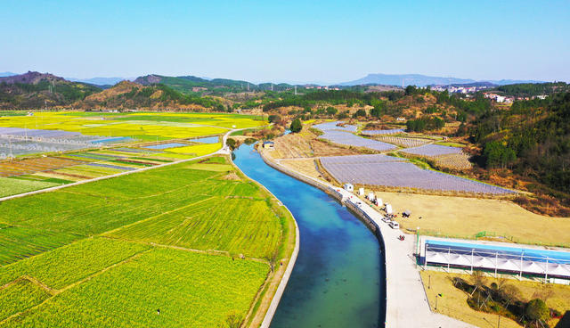 乡村  田园  春光  油菜花  旅游