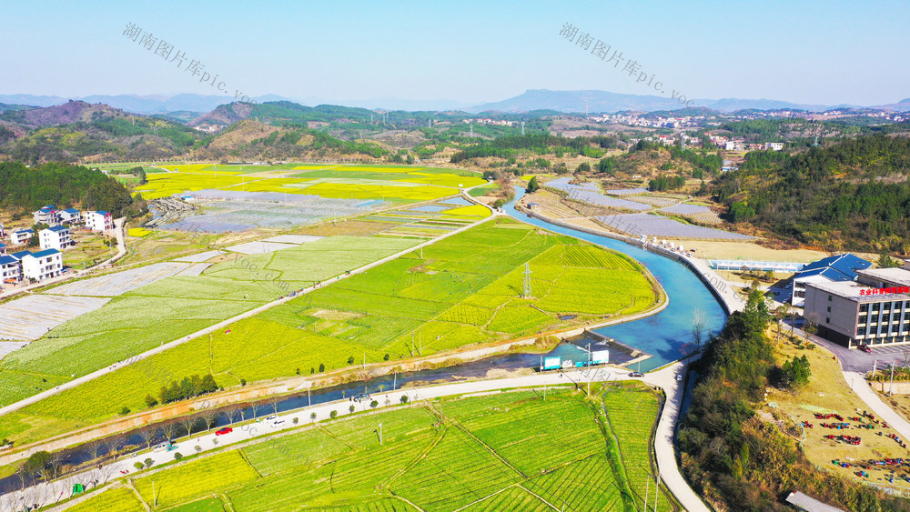 乡村  田园  春光  油菜花  旅游