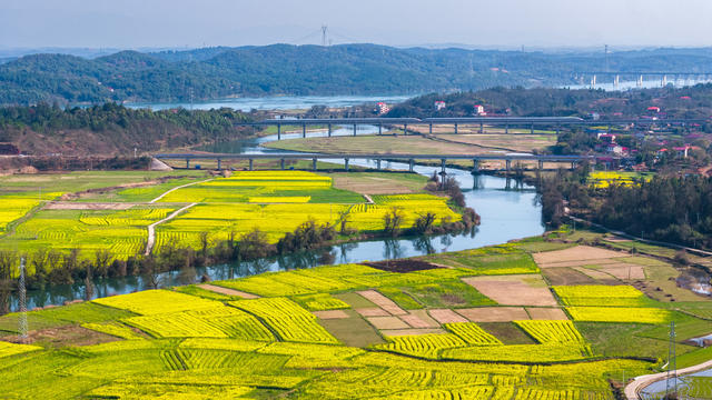 春日美景 高铁驶过花海 青山绿山 乡村美景