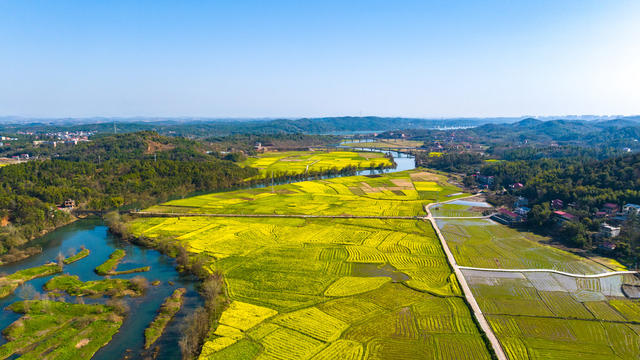 春日美景 高铁驶过花海 青山绿山 乡村美景