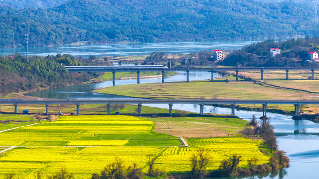 春日美景 高铁驶过花海 青山绿山 乡村美景