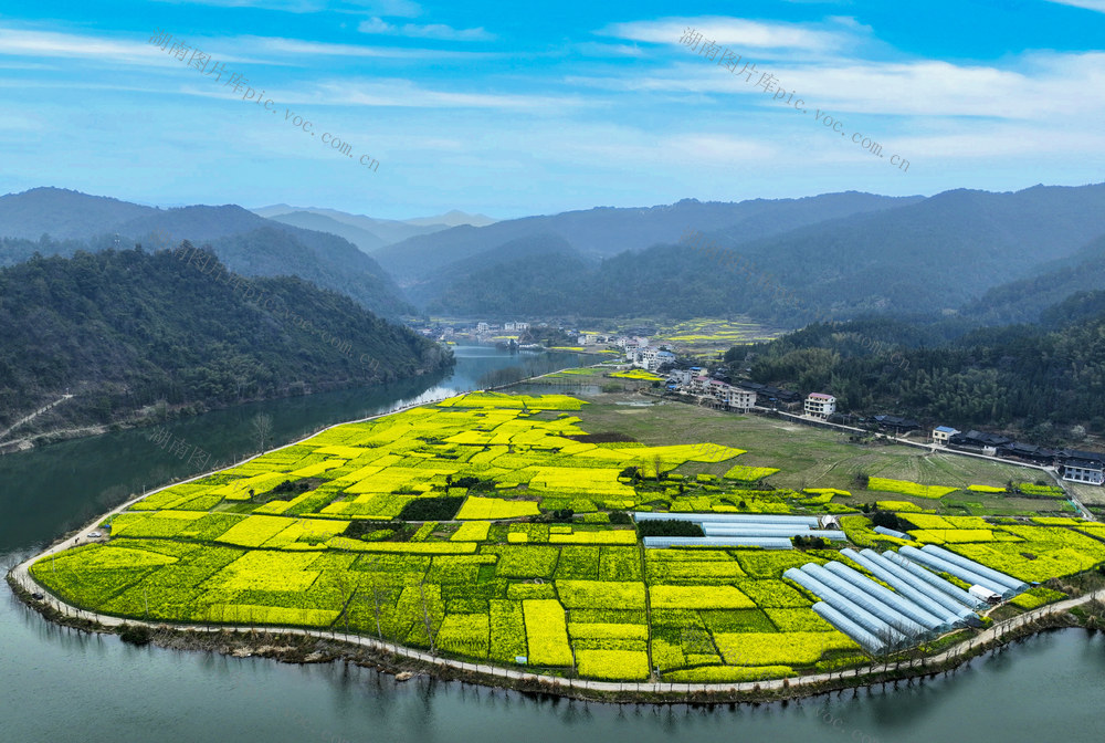 乡村 春景