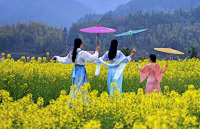 乡村 春景